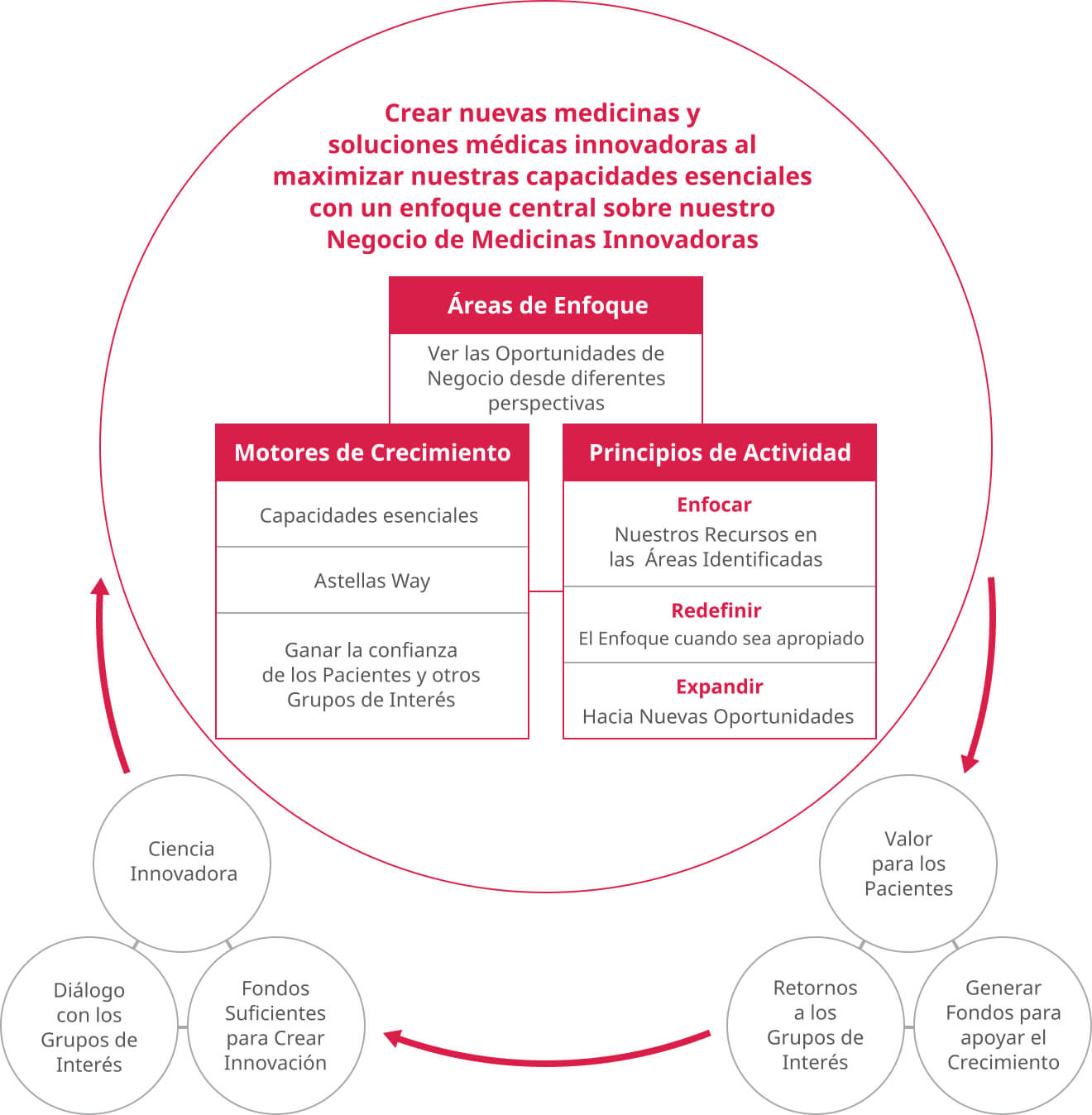 Proceso de Creación de Valor de Astellas