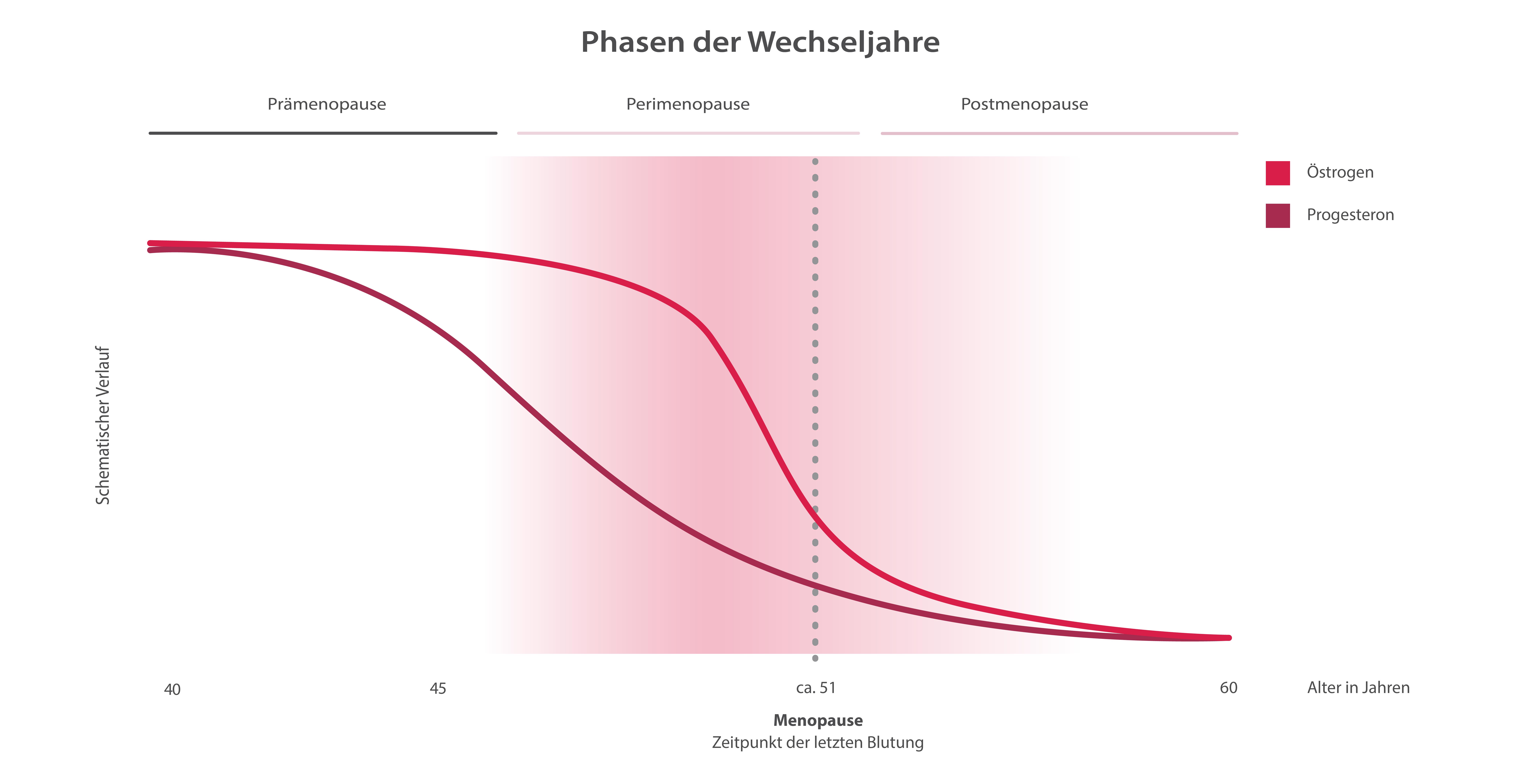 die Phasen der Wechseljahre und der Menopause