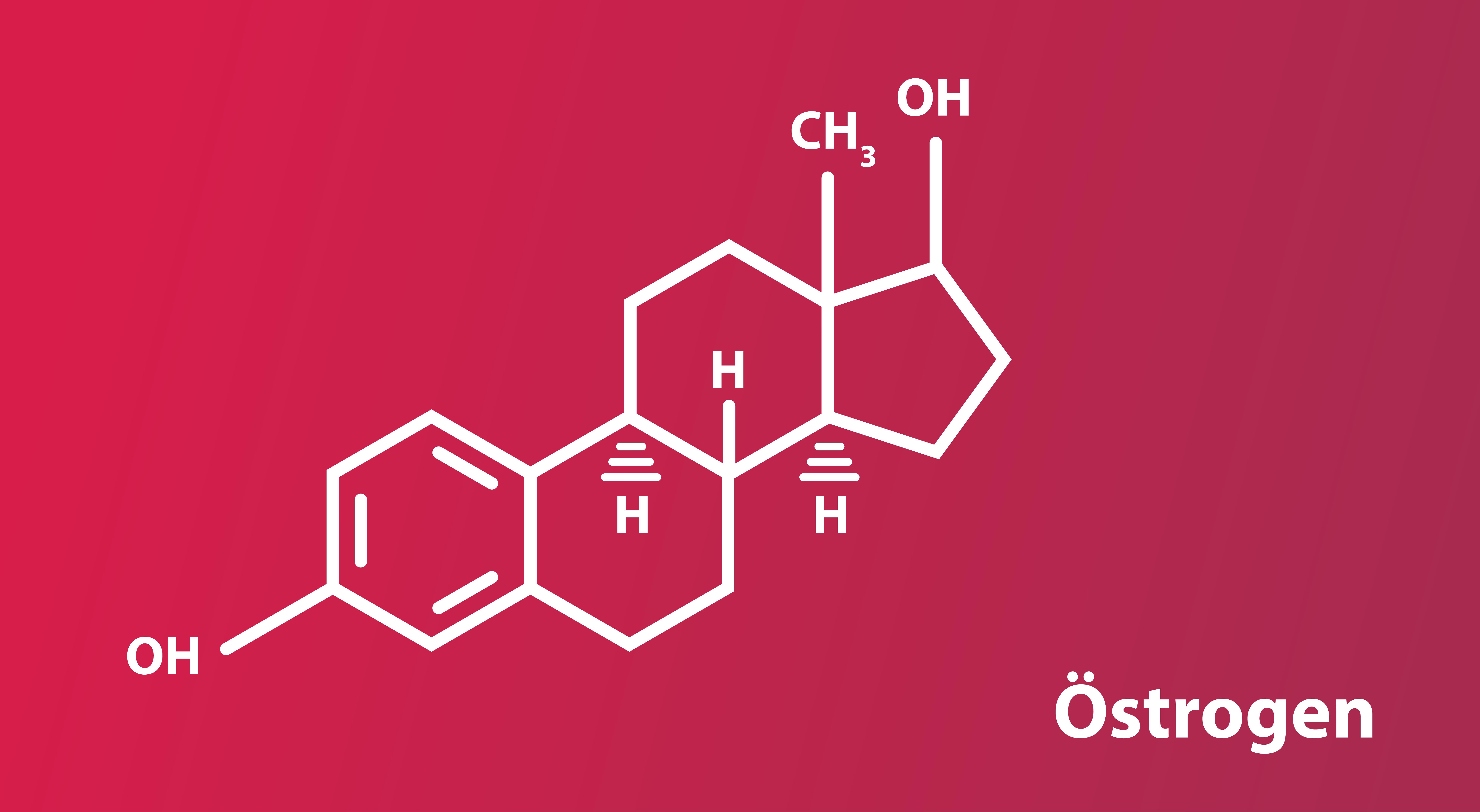 Östrogen Hormon