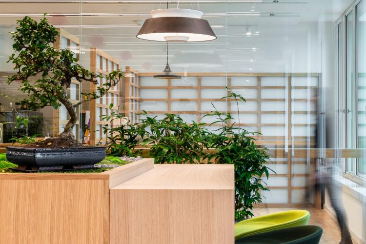 Astellas im Newton