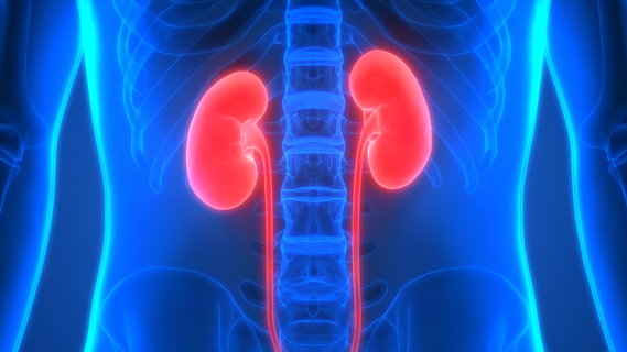 Anaemia of chronic kidney disease