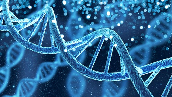 Duchenne muscular dystrophy