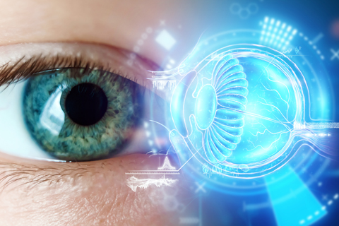 Geographic Atrophy (Dry age-related macular degeneration)