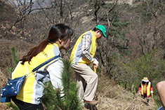 북한산 나무심기 봉사활동