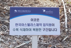 북한산 나무심기 봉사활동