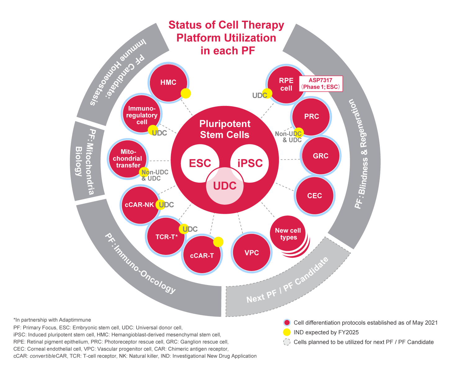 Cell Therapy image