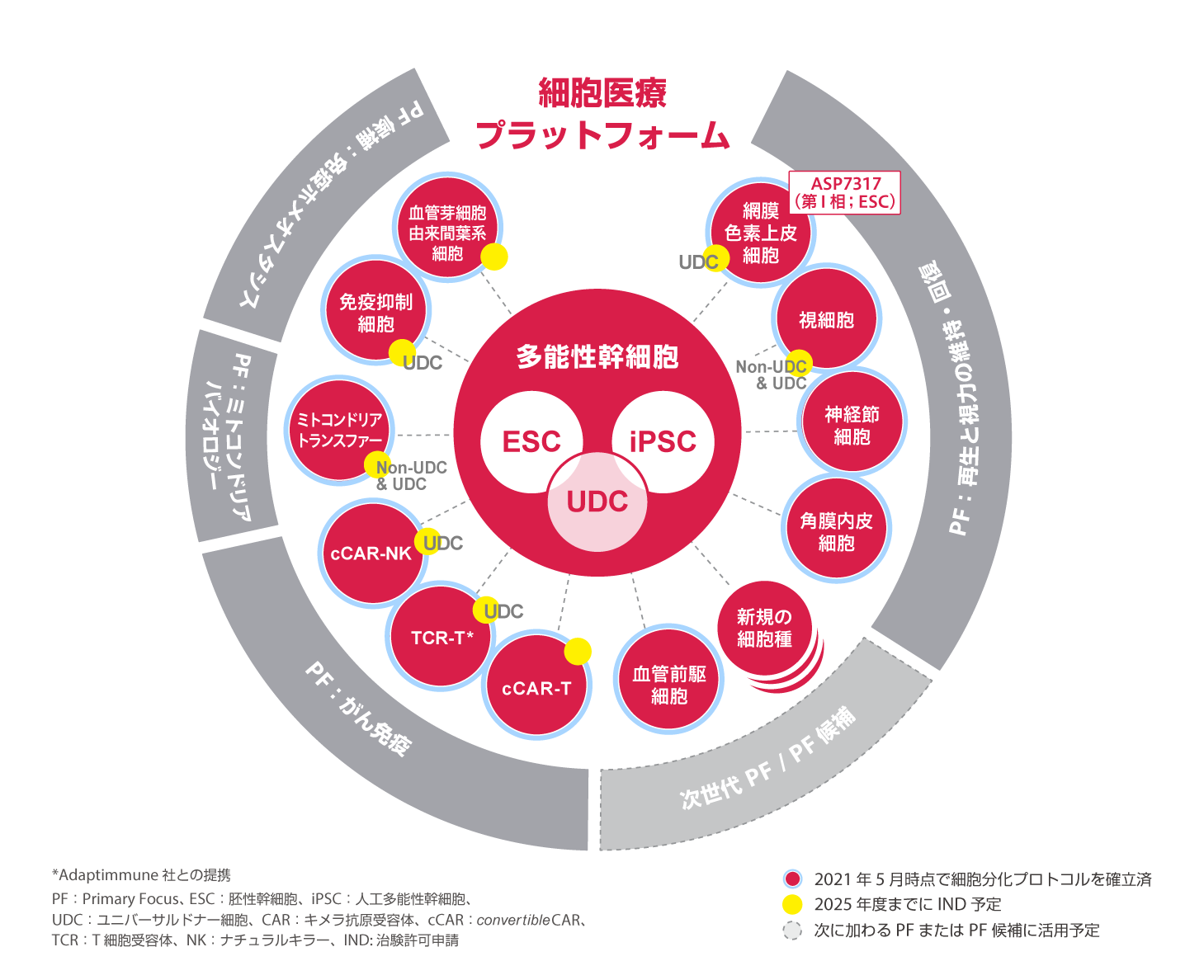 細胞医療 画像