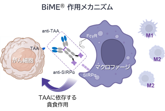 BiME®メカニズム