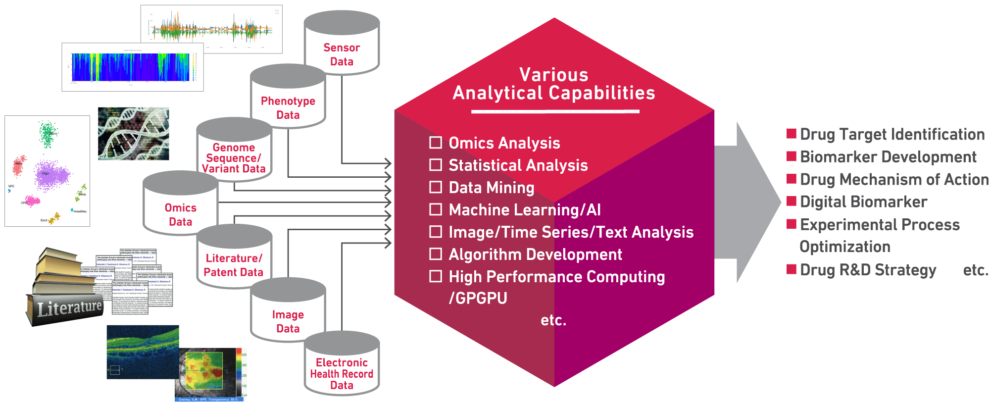 Examples of Data Analysis1