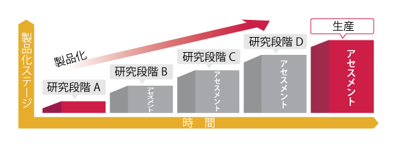 Assessment process