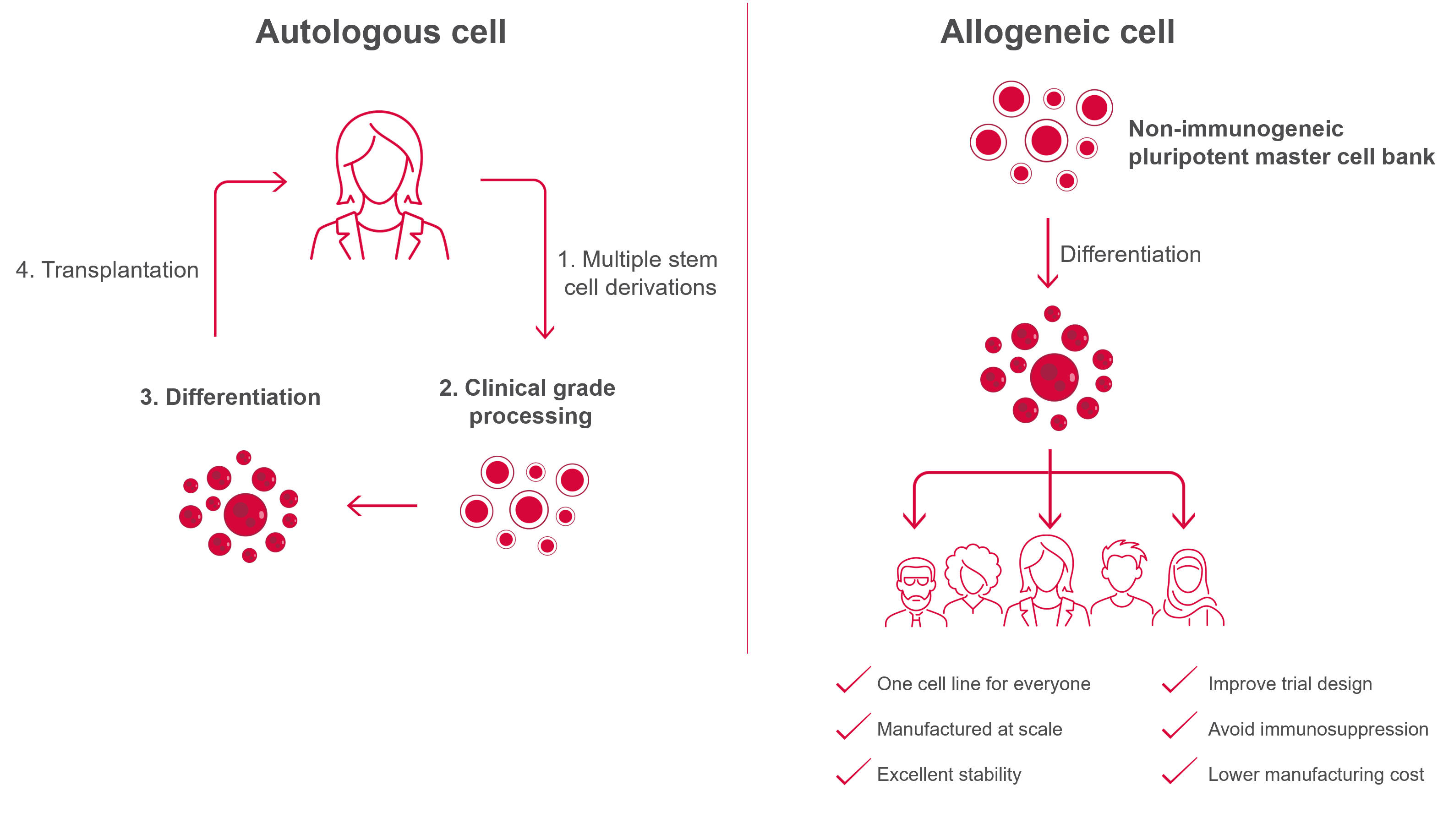 allogeneic_cell_therapy