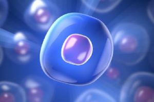 cell therapy