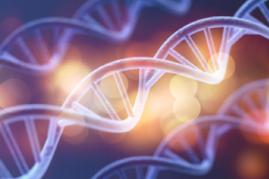 genetic-regulation
