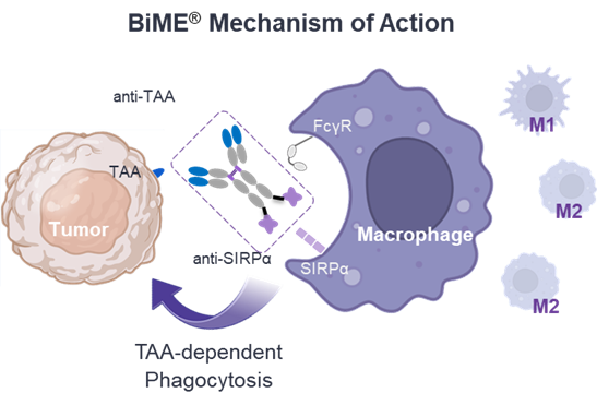 BiME® Mechanism of Action