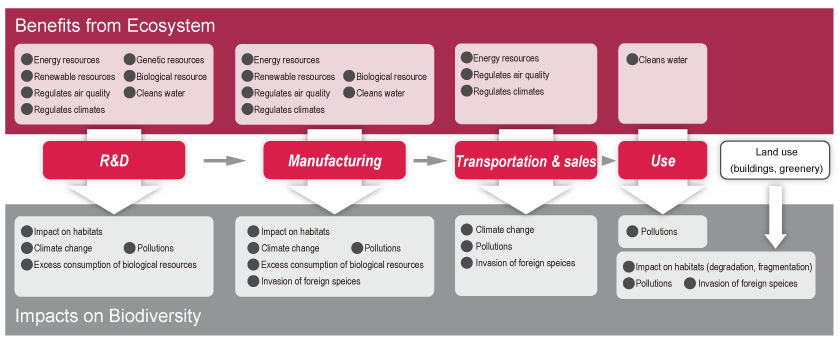 Biodiversity and Astellas An Enlarged Version