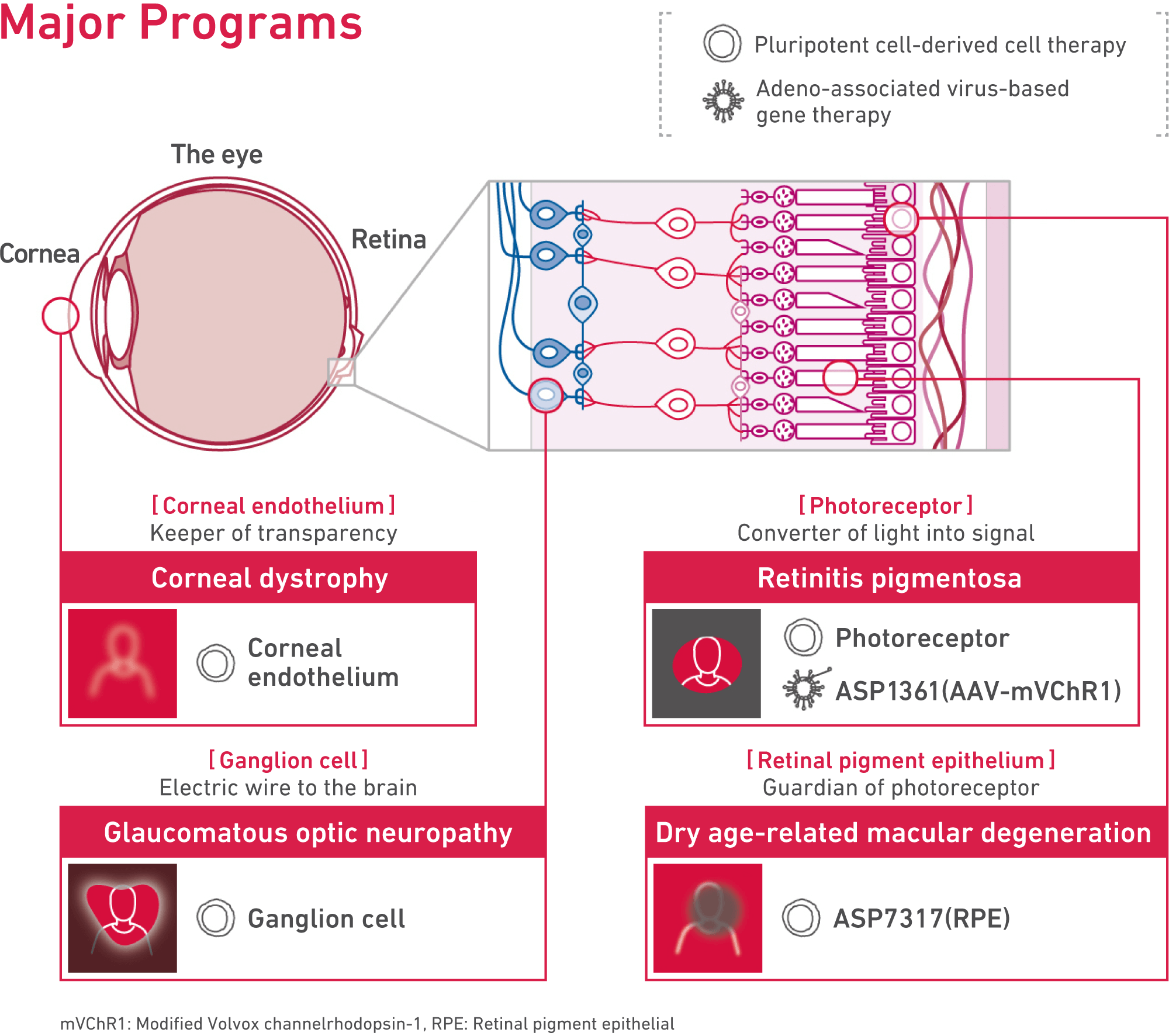 Major Programs