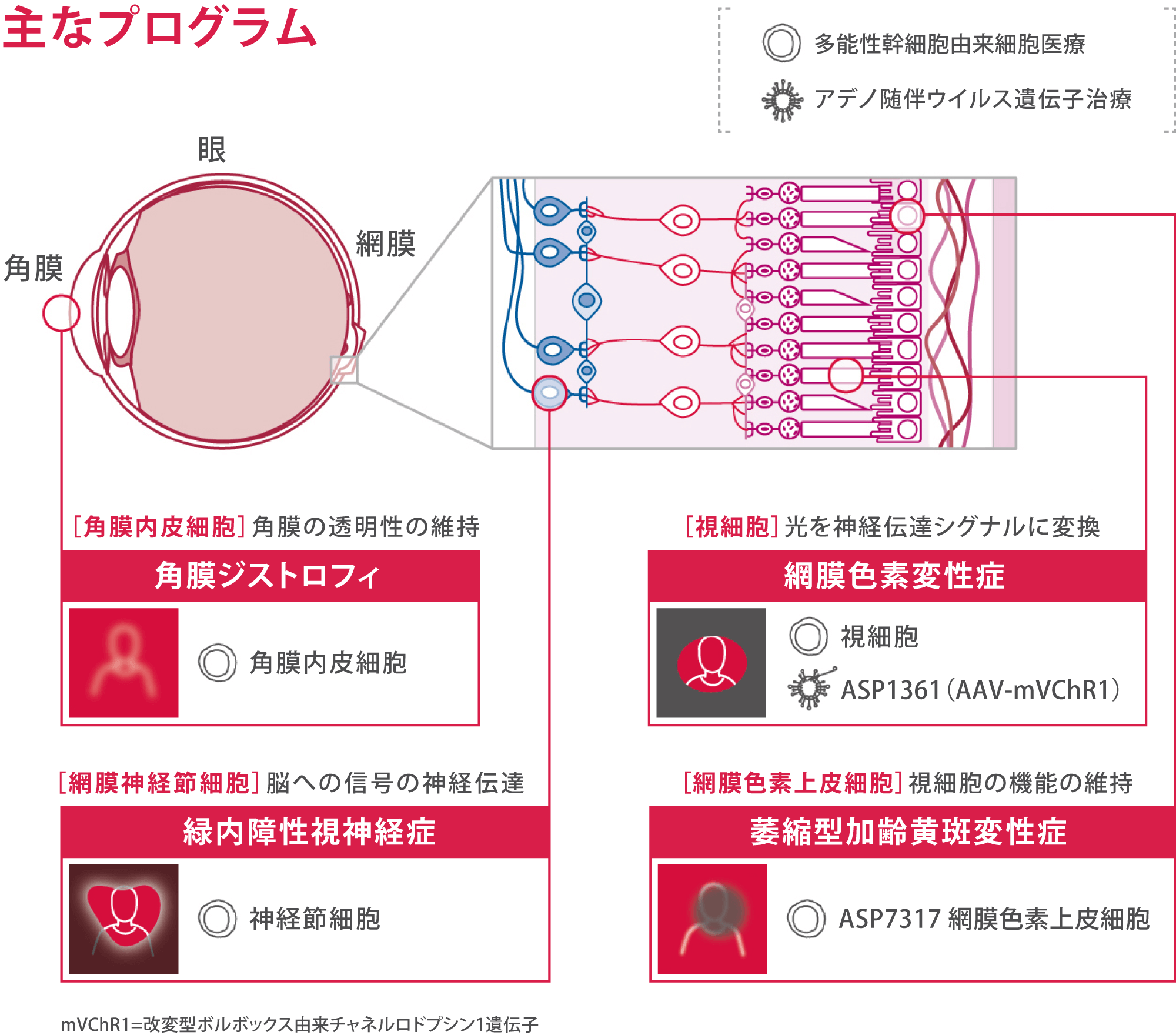 主なプログラム