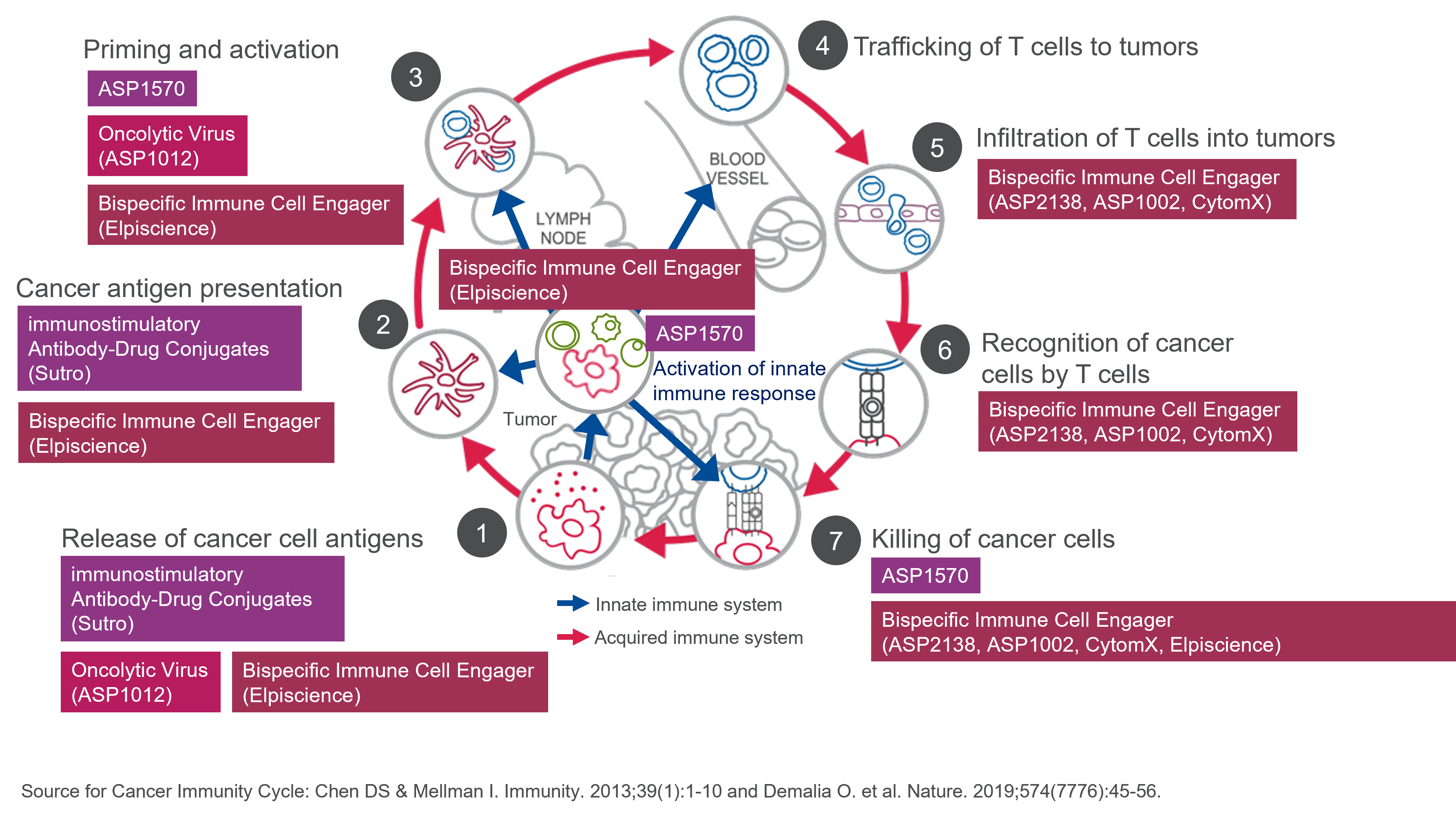 Cancer immunity cycle and Our programs