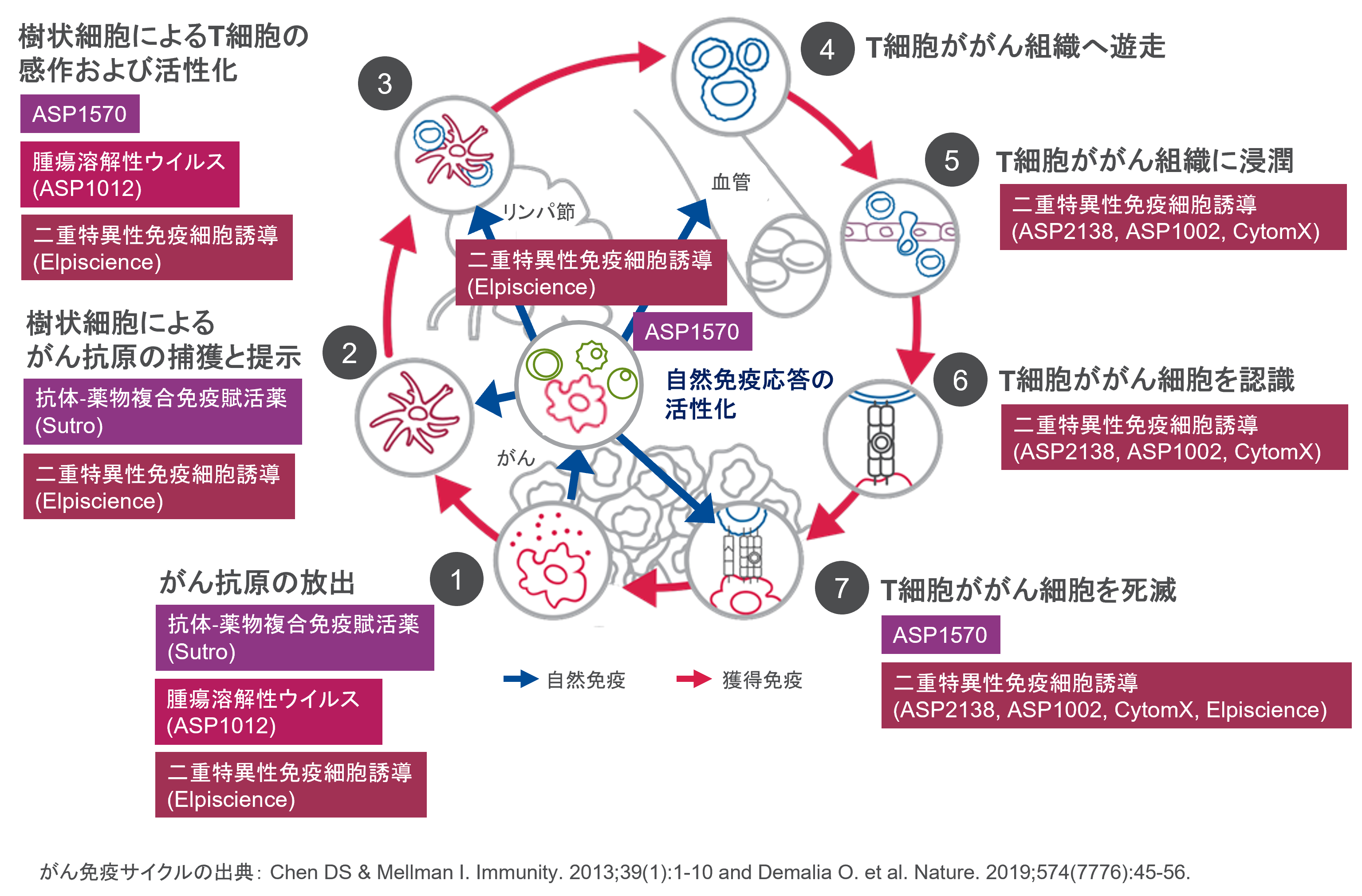 がん免疫サイクルとイムノオンコロジーの創薬プログラム