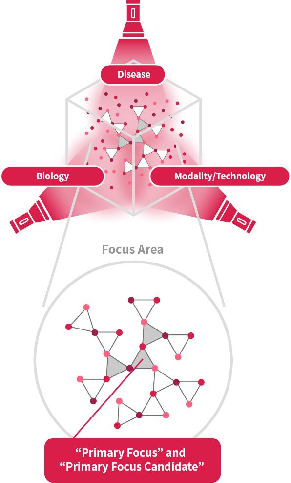 The Focus Area Approach