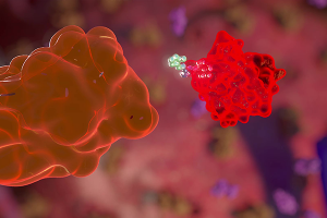 Targeted Protein Degradation