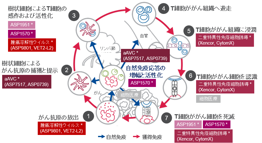 がん免疫サイクルとイムノオンコロジーの創薬プログラム