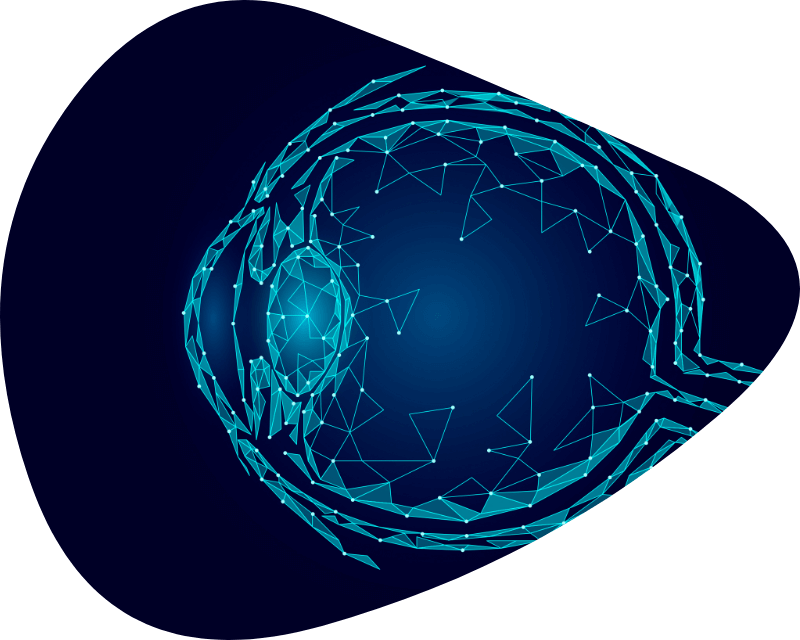 Primary Focus Blindness & Regeneration