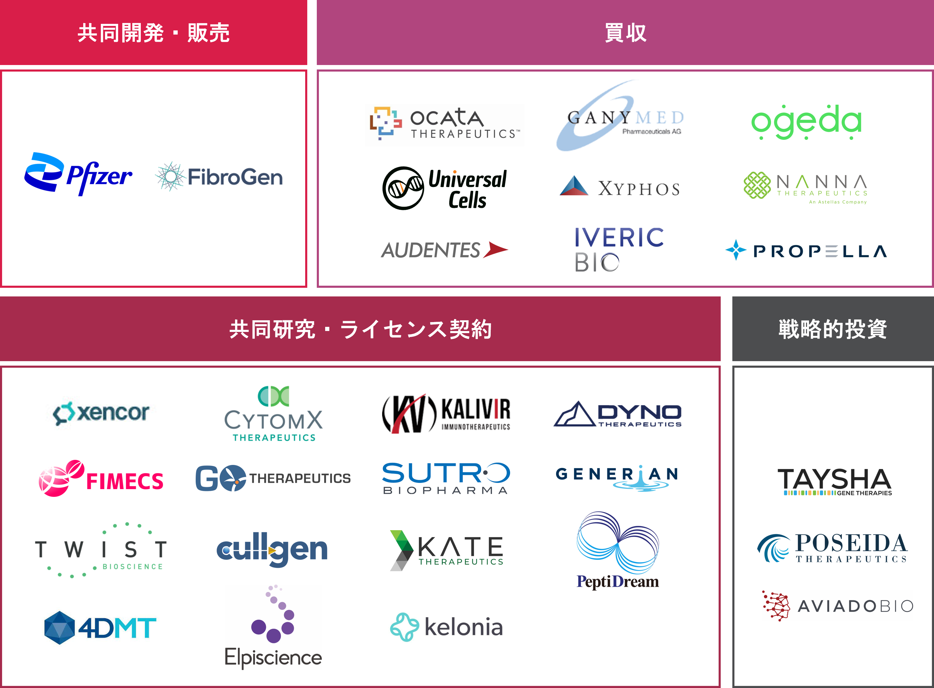 パートナリング実績