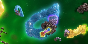 Targeted Protein Degradation