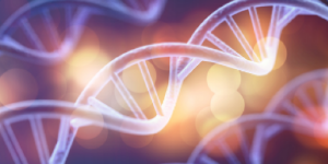 Primary Focus Genetic Regulation