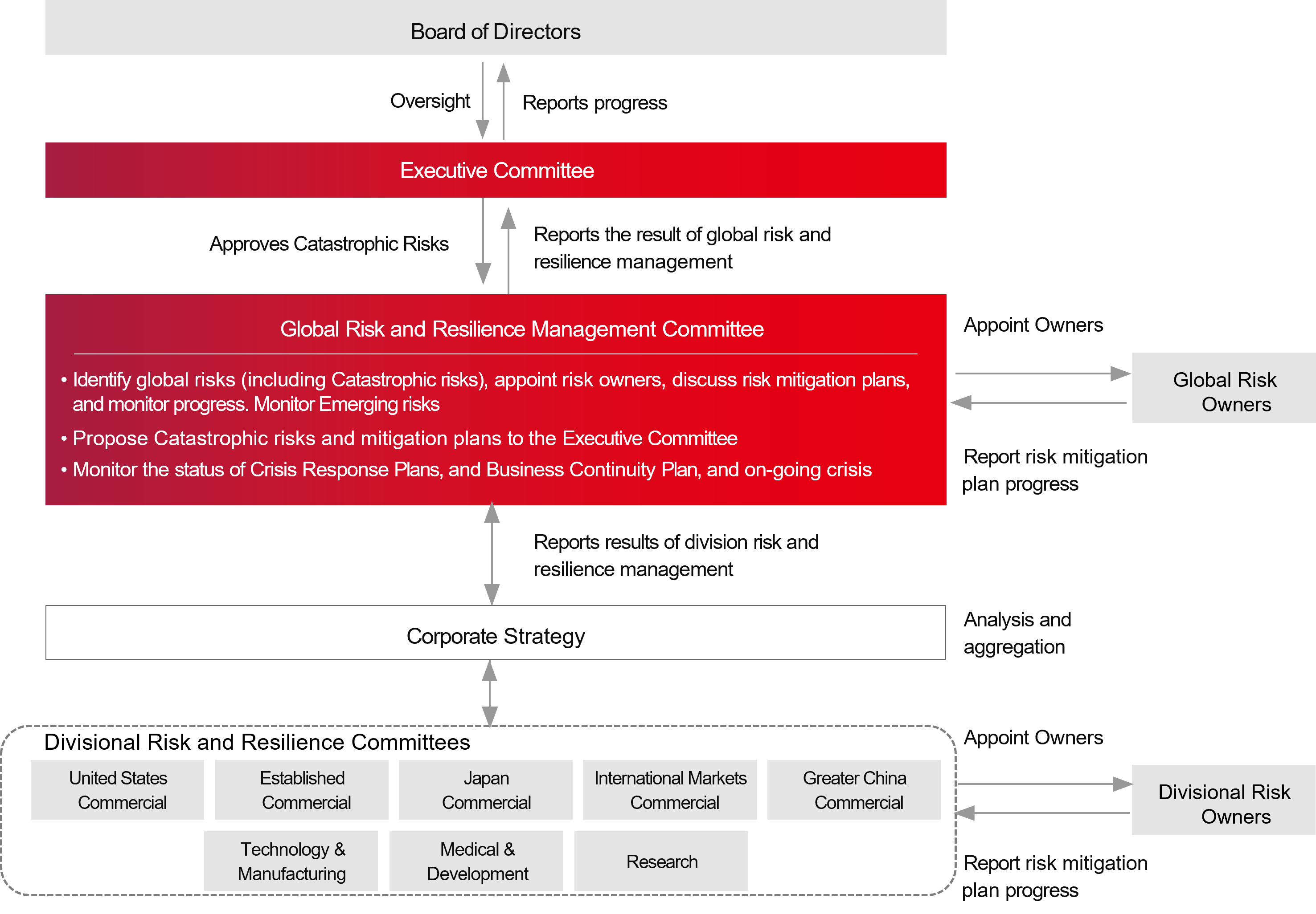 Risk Governance