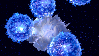 特異的制御性T細胞