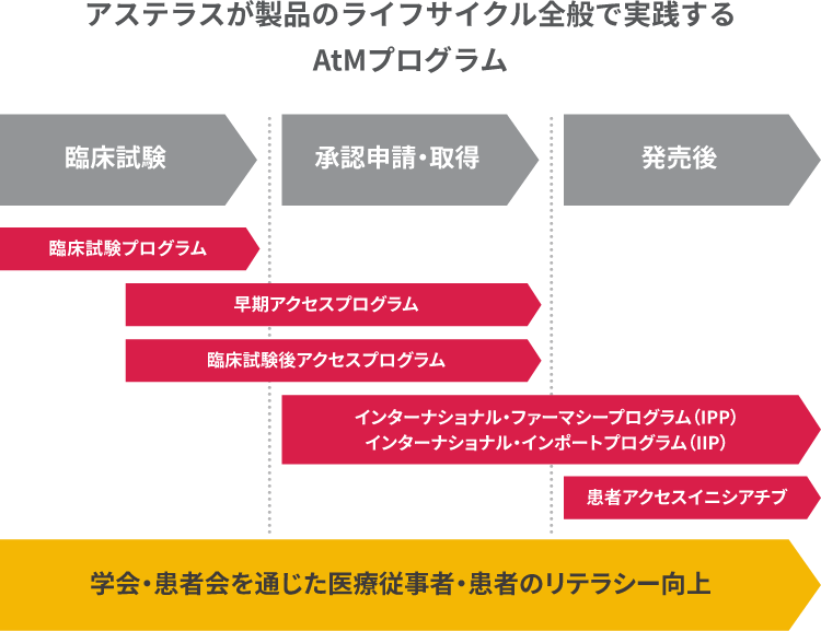 アステラスが製品のライフサイクル全般で実践するAtMプログラム