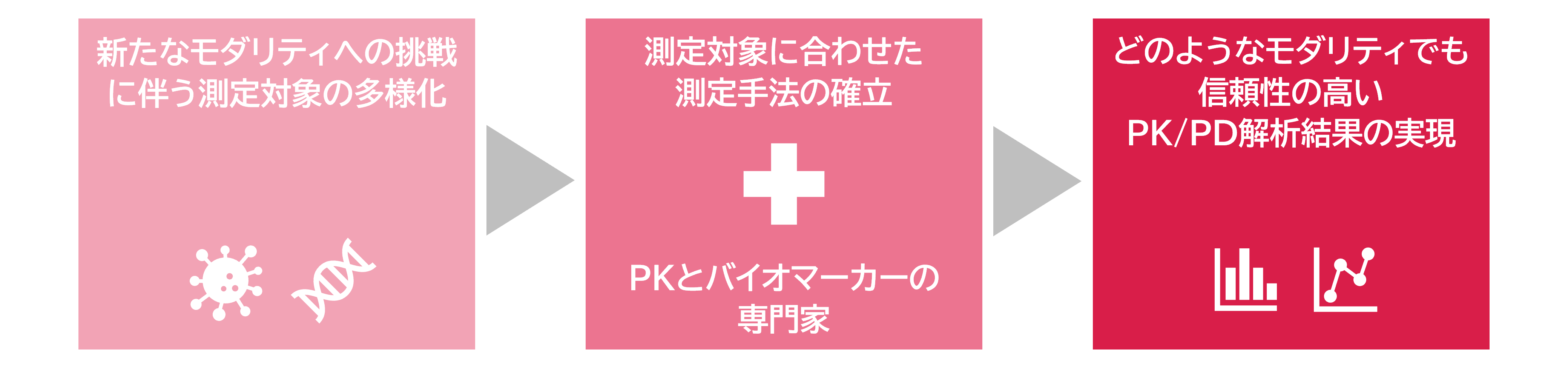 高い専門性を持つチームで取り組むPK/PD解析