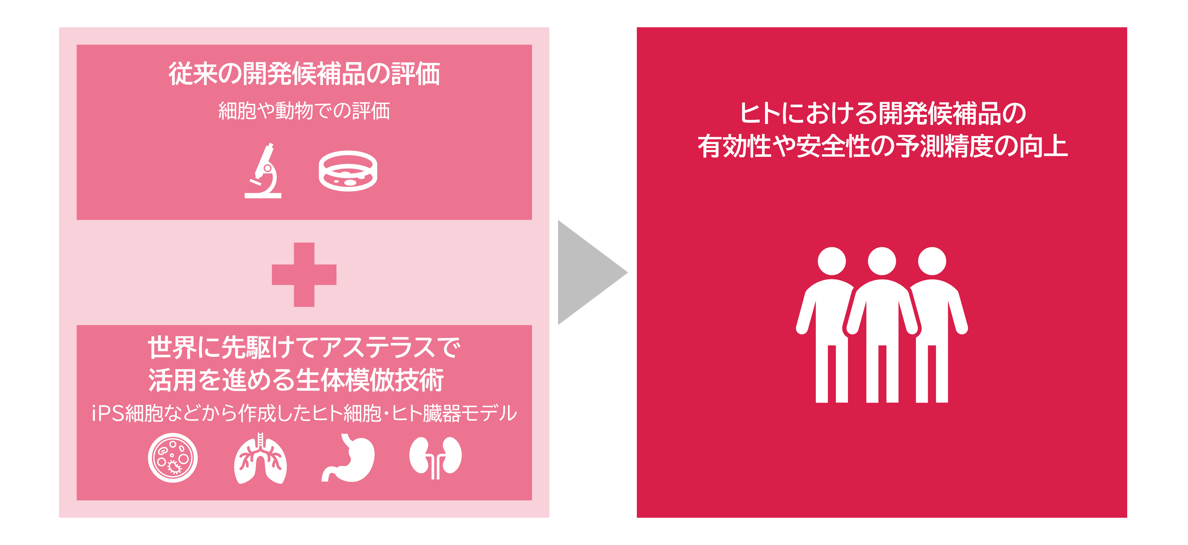 世界に先駆けて活用を進める生体模倣技術