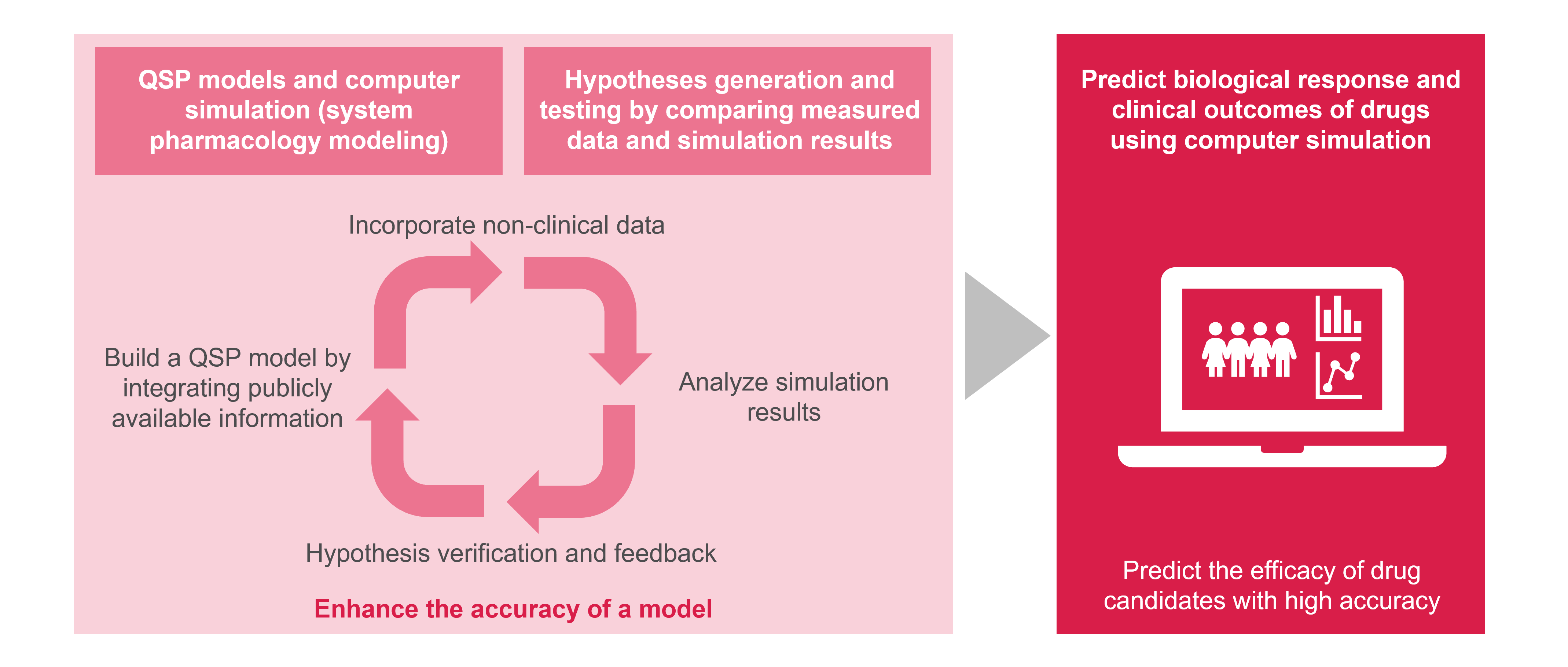 Mathematical Model Analysis to Understand and Predict Complex Biological Systems