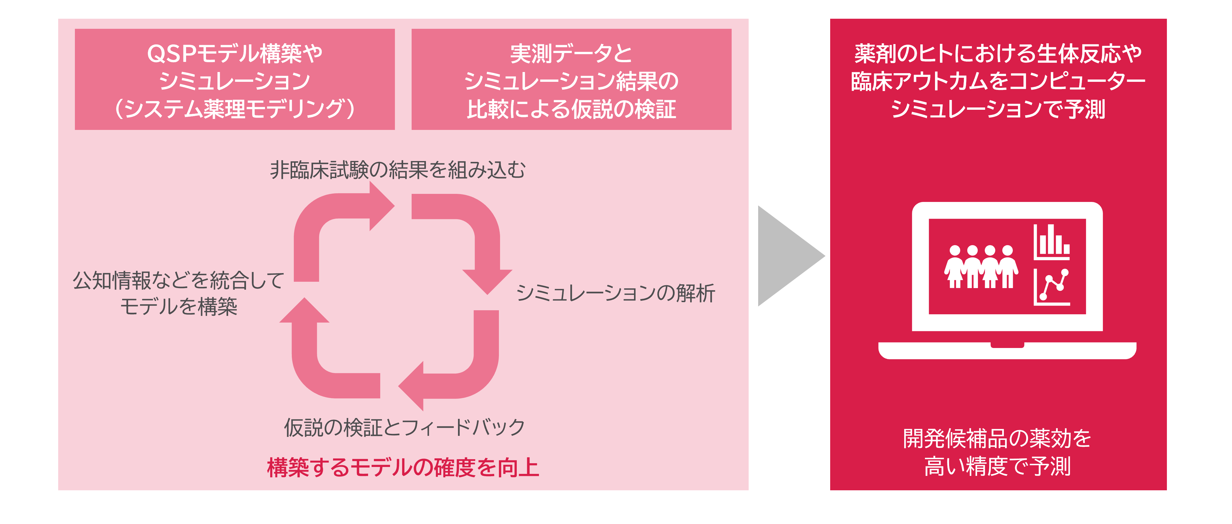 複雑な生体システムを理解し予測する数理モデル解析