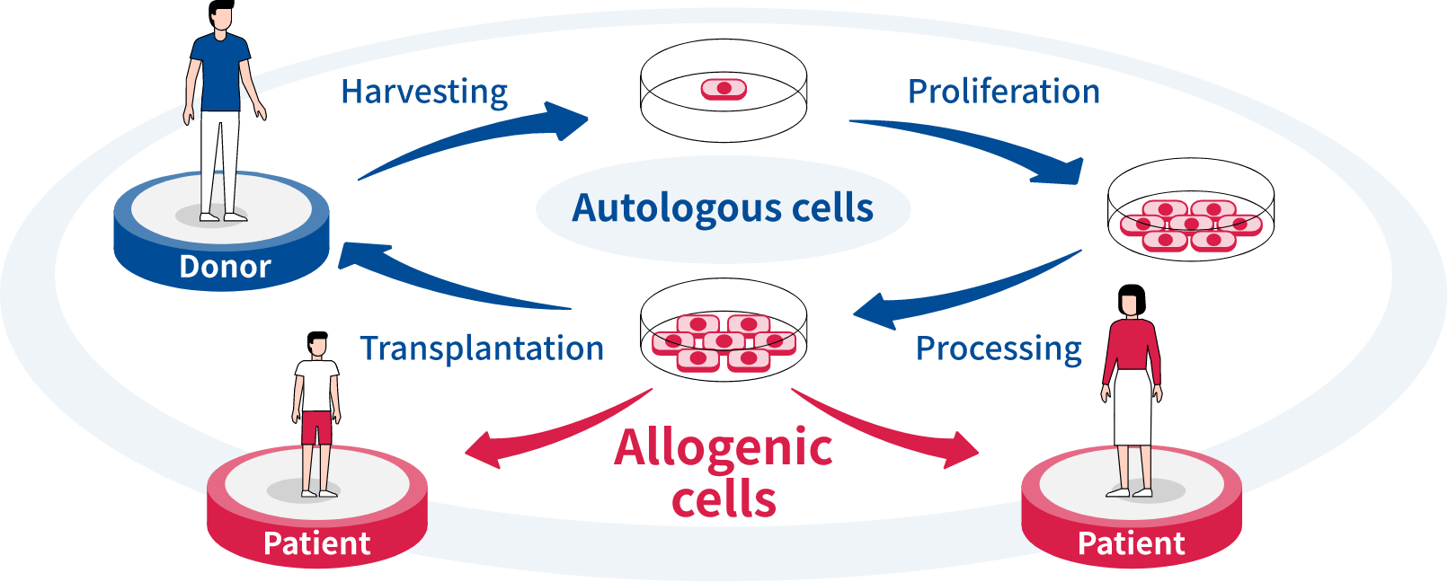 cell-therapy_image1_en_20210719